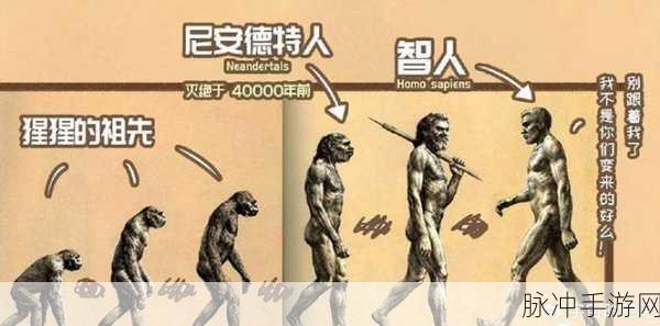 非洲人性功能强大的环境因素分析:1. 非洲环境对男性性功能的积极影响研究