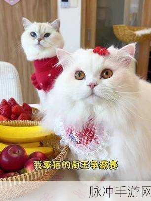 厨师猫萌趣上线,开启奇趣烹饪之旅