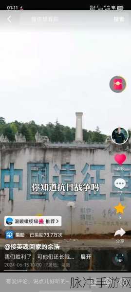 南方老兵召回:南方老兵归来:传承精神与时代的碰撞