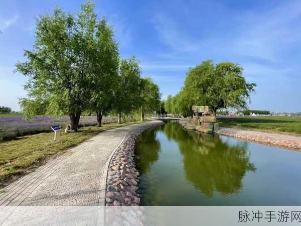 伊犁园在线人口:1. 伊犁园:探寻多元文化交融的魅力之地