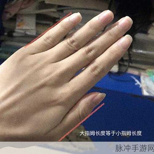 年经继拇是免费的吗中文版：当然可以！以下是一些基于“年轻继拇是免费的吗”的新