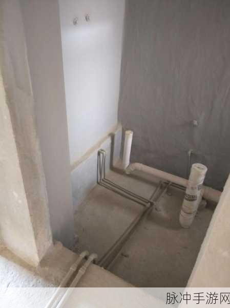 和王总在卫生间隔断:1. “隐秘空间里的商业机遇:与王总的深度对话”