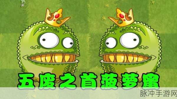菠萝蜜影视 免费：1. 菠萝蜜影视：探索电影背后的奇幻世界
