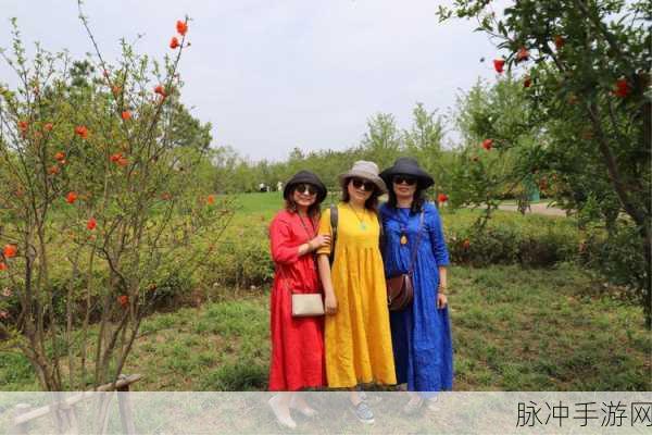 芒果乱码国色天香:1. 《芒果梦幻:国色天香的甜蜜旅程