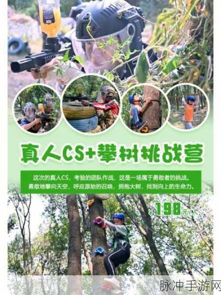 探秘扫雷世界,一场智慧与勇气的休闲冒险之旅