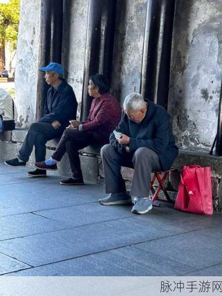 老人玩小处雌女视频的意义:1. 老人与小宠物的温馨互动时光