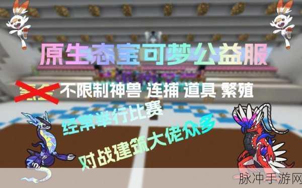 宝可梦训练家公益服新体验,简约动作冒险之旅