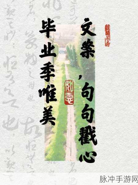 毕业典礼后965免费看:1. 毕业典礼后965:开启人生新篇章的契机