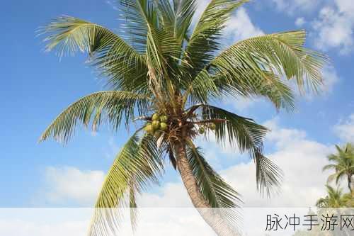海角登录永久入口:1. "探索海角登录永久入口的无限可能性