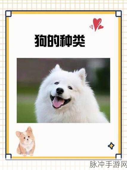 Xx欧美 人狗xx：当然可以，以下是一些以“Xx欧美 人狗xx”为主题的扩展