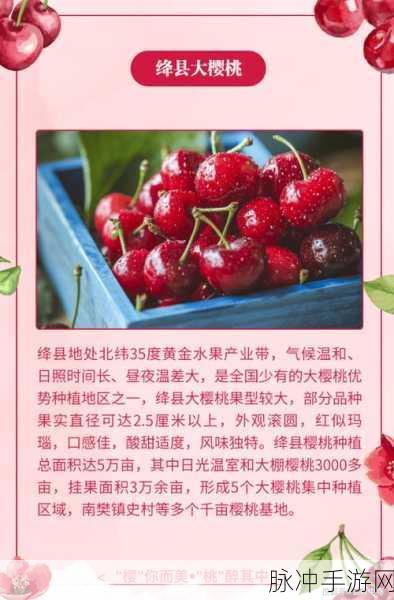 樱桃视频ss:1. 樱桃视频ss:畅享无限精彩,尽情沉浸视听盛宴