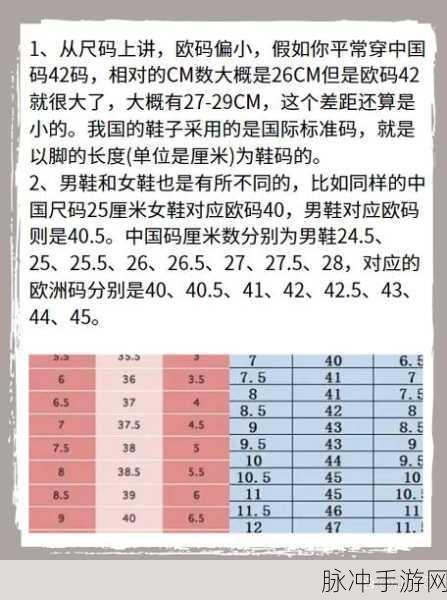 欧洲尺码日本尺码专线发布：欧洲尺码与日本尺码对照表：便捷购物指南
