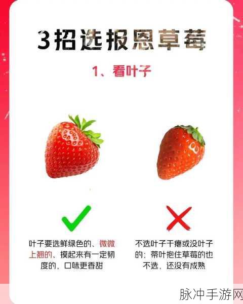 草莓视频us:1. 探索草莓视频:多元化娱乐新选择