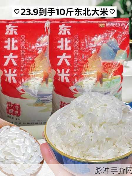 快来看大米官方版上线,沉浸式农场管理,打造你的田园梦想