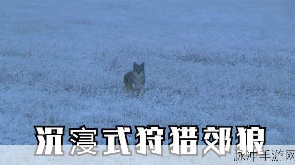 狩猎野猪模拟器,沉浸式野外狩猎新体验下载指南