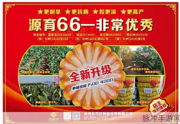 66亚洲一卡2卡新区成片发布:1. 66亚洲一卡2卡新区全新上线,畅享无忧体验