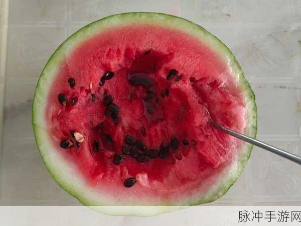 猎奇吃瓜稀缺:1. 探索奇异美食:猎奇吃瓜的极致体验