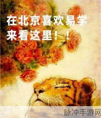 飞刀一声吼，声控休闲新潮流等你来体验！