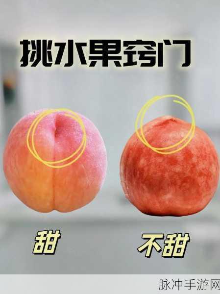 把坤坤放进桃子里:1. 坤坤与桃子:奇幻果园的冒险故事