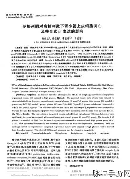 引燃1 v1h:好的,以下是基于“引燃1 v1h”拓展出的新