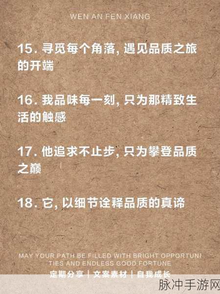 国产一品二品三品:1. 一品生活,二品享受,三品品质的追求