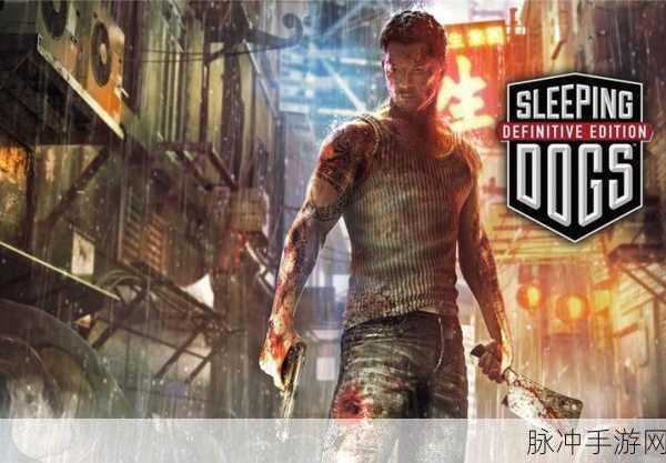 steamdeck热血无赖：1. 《热血无赖：重返罪恶都市的冒险