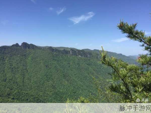 鸣神大社下方的窟窿怎么开:1. 探索鸣神大社下方窟穴的神秘传说