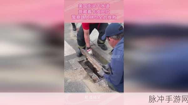 x9x9x9x9任意槽2024入口：1. 《2024年x9x9任意槽的全新玩法解析