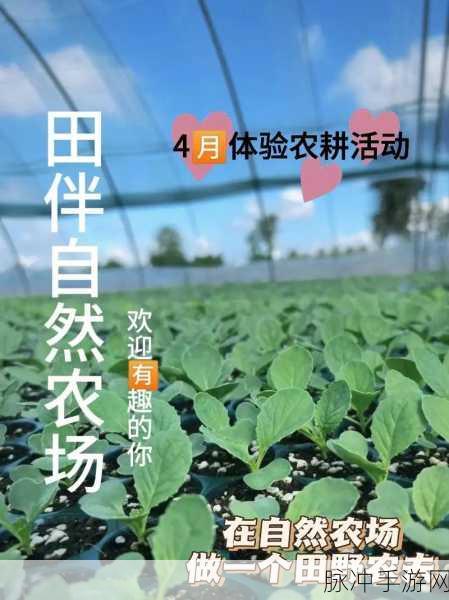 儿子帮妈妈耕种荒废的田:1. "儿子助力,重燃母亲的耕种梦想