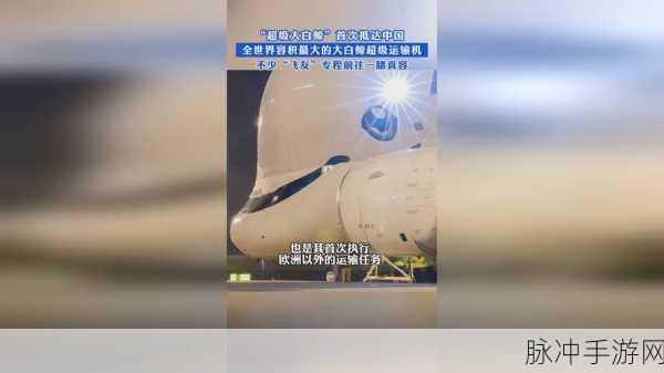 17.c一起艹