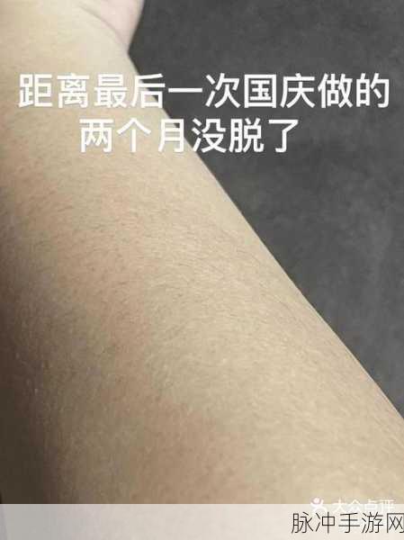 AAAAA级毛皮是什么毛:1. 探索AAAAA级毛皮的独特魅力与应用