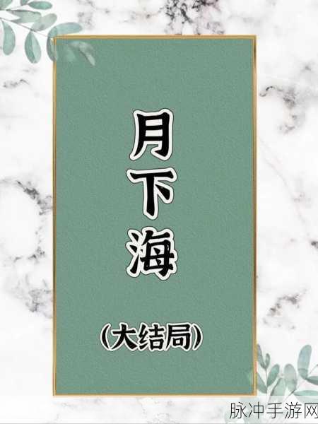 日本偶像下海:1. 日本偶像新方向:下海后的精彩人生