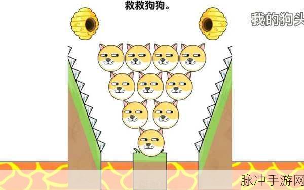 保护狗头不被蜜蜂蛰,全网疯传的休闲益智新宠儿
