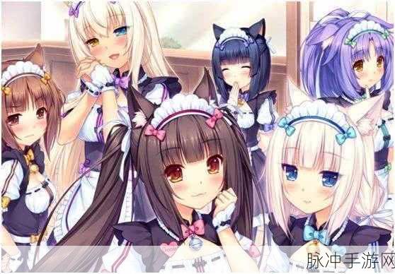 和猫娘拔萝卜游戏:1. 猫娘与魔法萝卜:奇幻冒险之旅