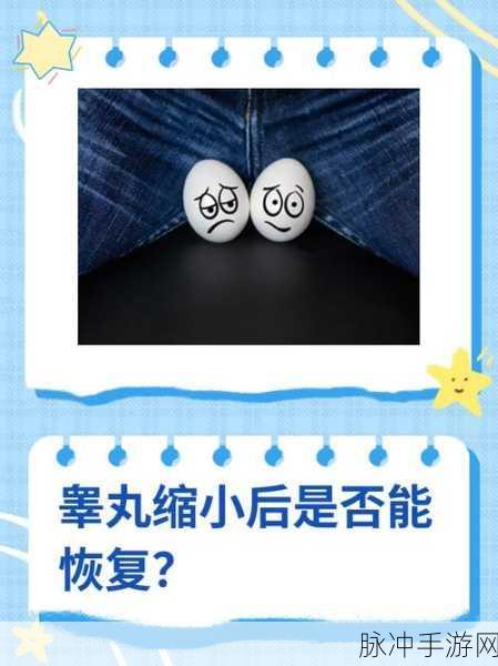警察睾丸被注入高能缩小剂:警察睾丸被注入高能缩小剂的奇特案例分析
