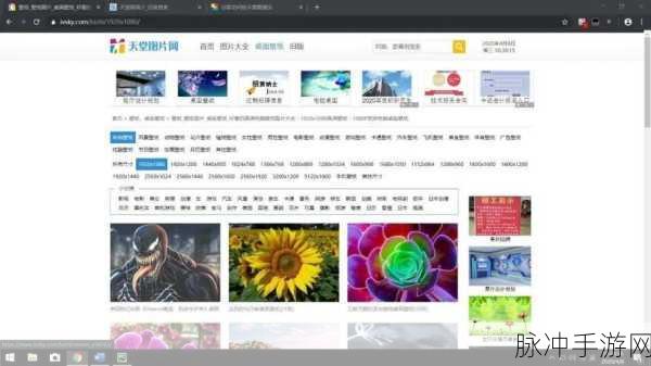 天堂网在线资源:1. 深入探讨天堂网在线资源的多样性与应用