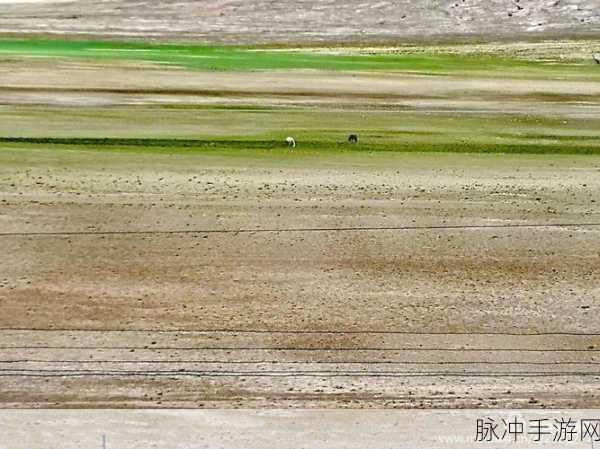 骑士救公主新篇,抽针解谜,智勇双全的挑战之旅