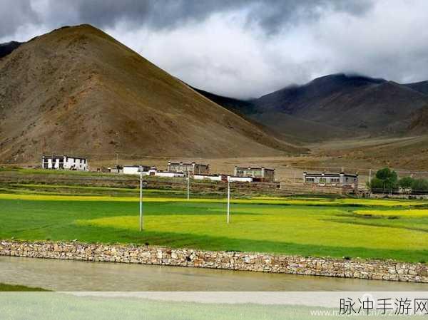 骑士救公主新篇,抽针解谜,智勇双全的挑战之旅