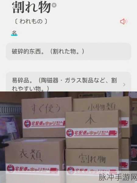 yw.8827.龙物永不失联国际改成什么了:以下是基于“yw.8827.龙物永不失联国际”拓展出的新标题,字数不少于10个: