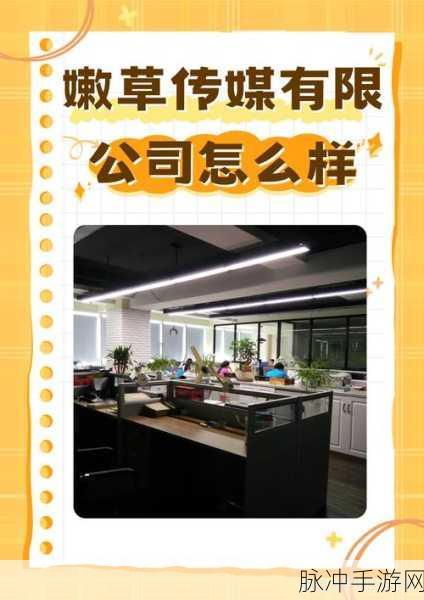嫩草文化传媒公司是做什么的贝拉:1. 嫩草文化传媒:探索年轻人的创意与表达