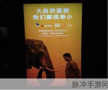大象伊甸传媒有限公司:1. 大象伊甸传媒:探索创意与传播的无界之旅