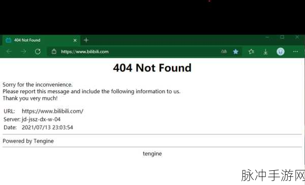 b站404原因:1. 为什么我无法找到这个视频?探讨B站404错误的原因