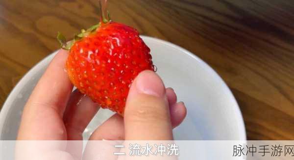 草莓视频100000部在线视频:当然可以!以下是基于草莓视频的一些新标题建议,每个都不少于10个字: