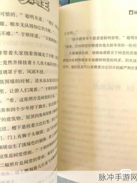 少年冒险王小米版来袭，Q版冒险RPG新体验等你探索