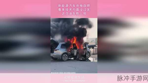 国精产品一区一区三区免费观看