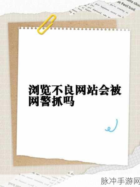 不良网站进入口:1. "如何识别并避开不良网站,保护个人信息安全