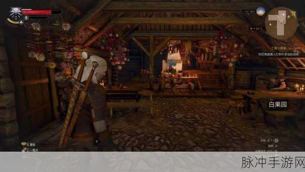 巫师3狂猎次世代版:巫师3:狂猎次世代版 - 失落王国的阴影与新冒险
