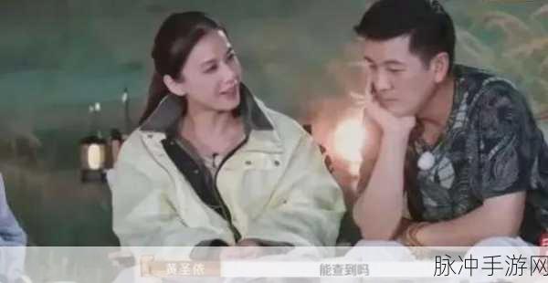 杨子为什么会看上黄圣依:杨子为何钟情黄圣依的爱情故事揭秘