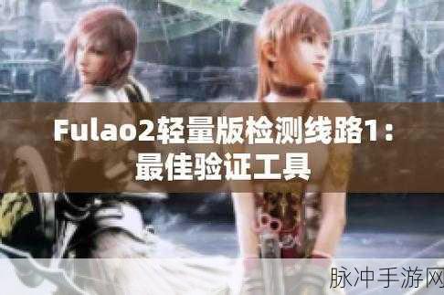 Fulao2检测线路1:1. Fulao2检测线路1的全面应用与实践探索