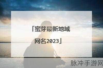 四虎最新地域网名：1. 四虎新地标：探索影视文化的新高地